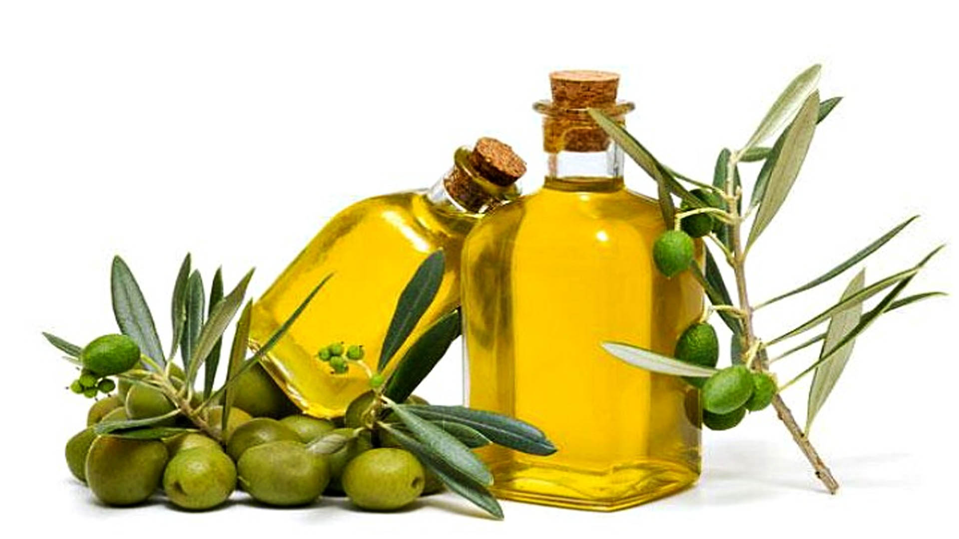Оливковое масло используется. Оливковое масло. Масло оливы. Алоэ с оливковым маслом. Olive Oil масло оливковое.