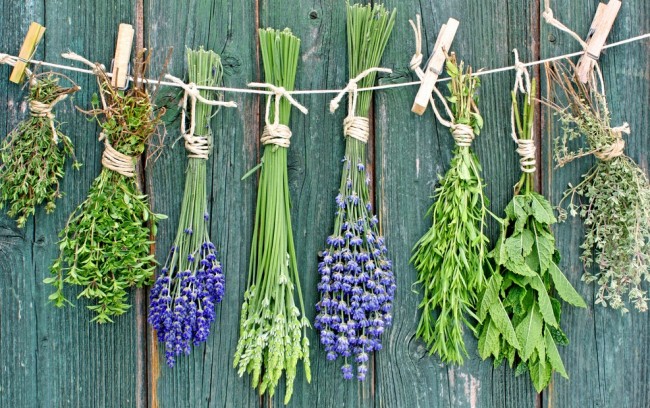 string-of-herbs-drying-non-wall