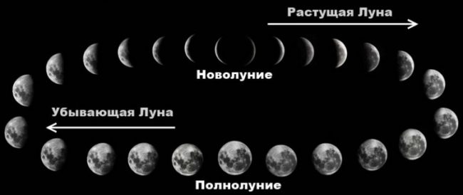 lunar-faze-1-copy-768x324