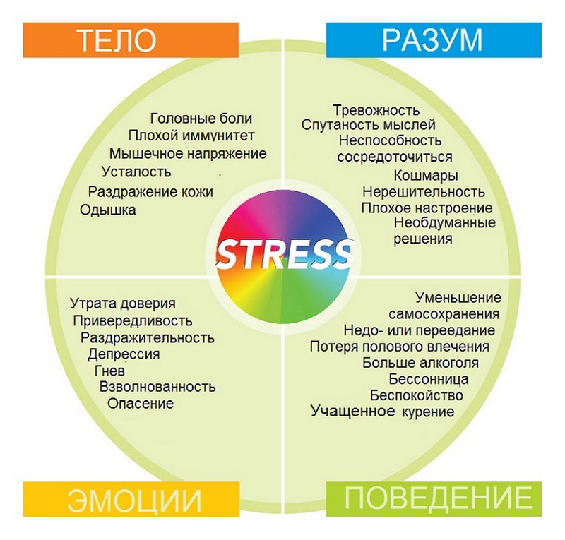 Стресс и стрессоустойчивость организма человека проект