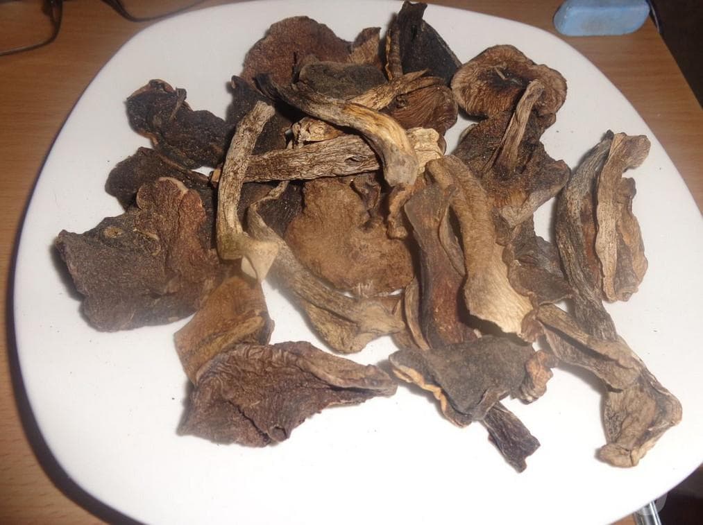 Подберезовики можно сушить. Подберезовики можно сушить. Подберезовики сушеные. Сухие подберезовики. Сушёные подосиновики протертые в пыль рецепты лечения.