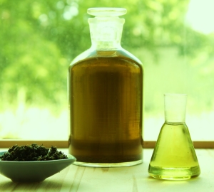 Esenciálny olej čaju pre vlasy - dávky, poškodenie, recenzie. Aplikácia oleja čajového stromu