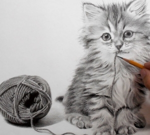 Hur man ritar en kattunge med en penna i steg. Att lära sig att dra i kattungarnas celler
