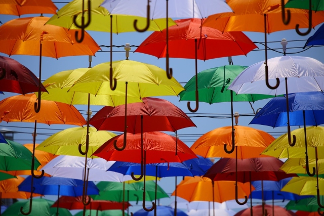 Co je lepší vybrat deštník je přehled výrobců. Jak si vybrat vysoce kvalitní deštník z deště. Jak si vybrat zástěrný deštník
