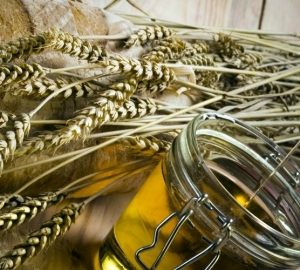 Применение масла зародышей пшеницы. Масло зародышей пшеницы для лица, волос, ресниц и кожи. Свойства масла зародышей пшеницы