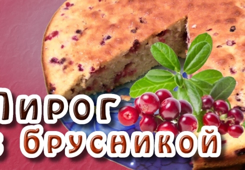 How to cook home cake with lingonberry. Recipes of delicious cake with lingonberry step by step with photos. How to bake sandy, puff, yeast cake with lingonberry