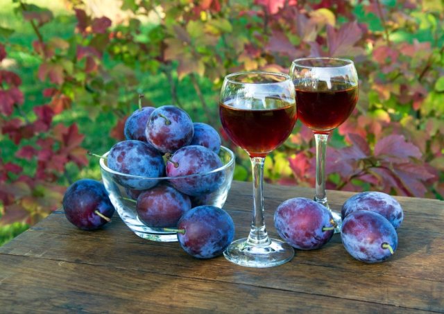Cara membuat anggur dari prem di rumah. Resep untuk memasak anggur buatan sendiri dari plum langkah demi langkah dengan foto