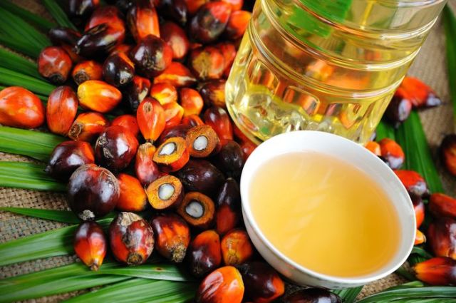 Výhody a poškození palmového oleje pro osobu, jeho složení. Jaký je škodlivý palmový olej pro novorozence. Jaké směsi bez palmového oleje v seznamu kompozice. Jak určit palmový olej ve výživě