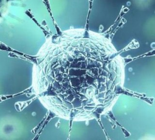 Συμπτώματα, σημάδια και διάγνωση του ιού των οπών. Πώς μεταδίδεται ο ιός οπτάνθρακα και τι είναι επικίνδυνο. Τη θεραπεία και την πρόληψη του ιού των οπών σε ενήλικες και παιδιά