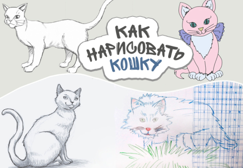 Как нарисовать кошку для начинающих. Как нарисовать кошку поэтапно карандашом. Как нарисовать аниме кошку своими руками. Как нарисовать кошку по клеточкам — мастер-класс для детей