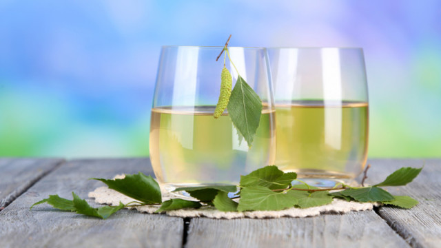 The benefits and harm of birch juice. How to drink birch juice. How much birch juice is kept