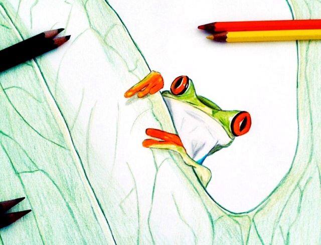 Как нарисовать ребенку лягушку поэтапно карандашом. Как нарисовать царевну лягушку легко