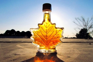 The benefits and harm of the maple syrup. What makes maple syrup do. How to make maple syrup at home - recipe