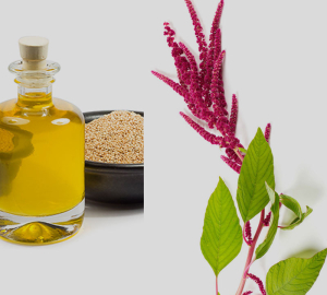 The benefits and harm of amaranth oil. Application of amaranth oil at home