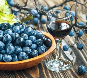 Ako urobiť víno z Tern doma. Recepty Varenie Domáce víno z Tern Stephane s fotografiou