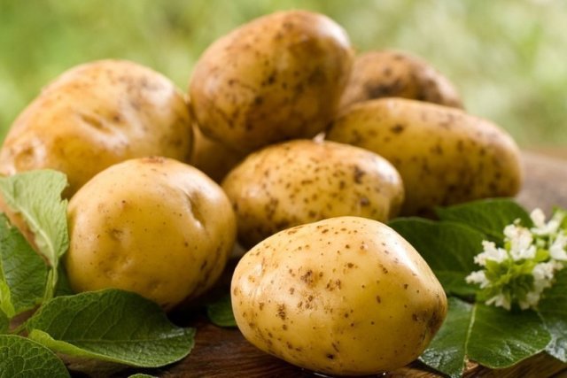 Výhody a harm zemiakové šťavy. Ako sa robí zemiakový džús. Liečba zápal žalúdka, žalúdočné vredy, Míšo, zápal žlčníka, pankreatitída zemiakový džús