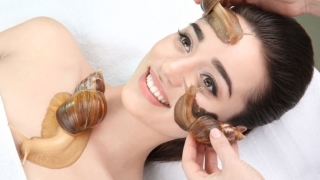 Massage sniglar: Förmån och skada. Hur mår ansiktsmassage snigelmassage. Massage Snail Akhatins hemma