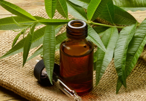 O óleo essencial da árvore de chá da acne ajuda. Aplicação de óleo de árvore de chá de acne na face