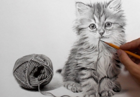 วิธีการวาดลูกแมวด้วยดินสอในขั้นตอน เรียนรู้ที่จะวาดในเซลล์ของลูกแมว