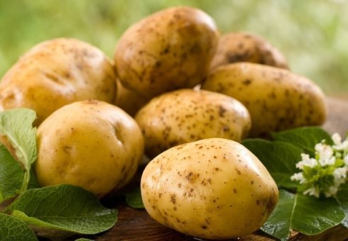 Výhody a poškodenie zemiakovej šťavy. Ako si vyrobiť zemiakovú šťavu. Liečba gastritídy, žalúdočných vredov, MISA, cholecystitídy, pankreatitída zemiaková šťava