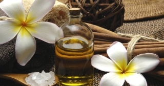 Properties of essential oil vanilla. Application of vanilla oil for hair, face and bodies at home