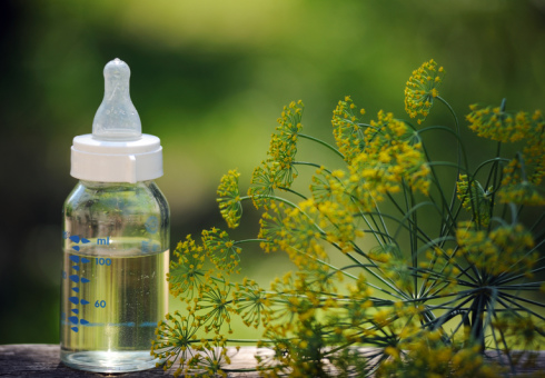 The benefits of dill water for newborns