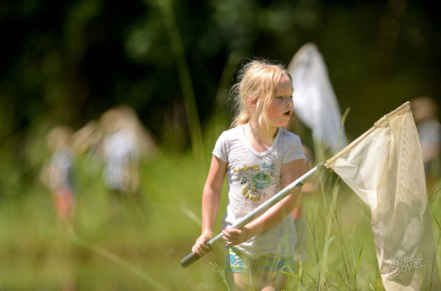 How to make a net for fishing with your own hands. How to make a net for fishing, for butterflies, for fish. How to make a children's net at home