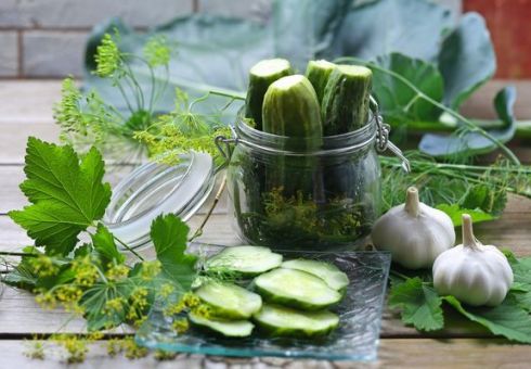 Cucumbers for the winter