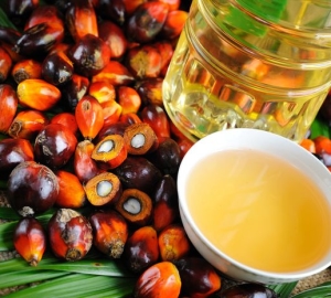 Beneficiile și răul uleiului de palmier pentru o persoană, compoziția sa. Ce este uleiul de palmier dăunător pentru nou-născuți. Ceea ce amestecați fără ulei de palmier din lista de compoziții. Cum se determină uleiul de palmier în nutriție