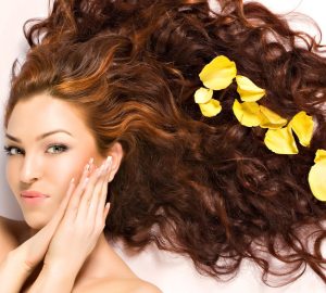 Použitie esenciálneho oleja na vlasy. Ako používať olejový zátok z vypadávania vlasov. Vlasy Masky Bay - Recepty