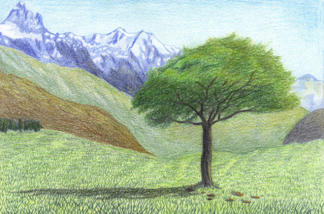 Kako crtati zimu, proljeće, ljeto, jesenski krajolik za početnike. Kako nacrtati krajoliku faznu olovku