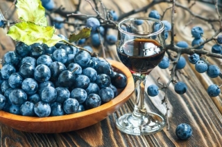 Hur man gör vin från Tern hemma. Recept Matlagning Hemlagad Vin från Tern Stephane med foto
