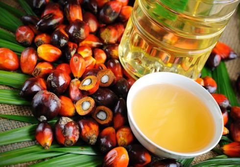 Výhody a poškození palmového oleje pro osobu, jeho složení. Jaký je škodlivý palmový olej pro novorozence. Jaké směsi bez palmového oleje v seznamu kompozice. Jak určit palmový olej ve výživě