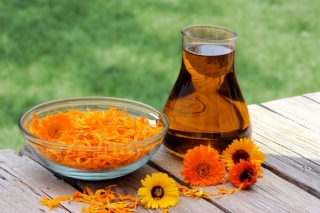 CALENDULA OIL - VLASTNOSTI A APLIKÁCIE