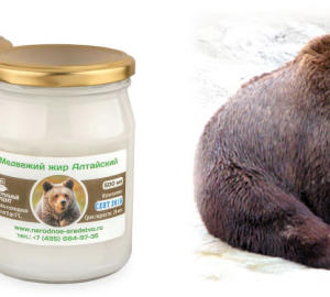 Лечебные свойства медвежьего жира. От чего помогает медвежий жир — показания, противопоказания. Как принимать медвежий жир. Лечение медвежьим жиром в домашних условиях
