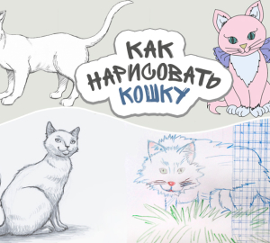 Hur man ritar en katt för nybörjare. Hur man ritar en katt i steg med en penna. Hur man ritar en anime -katt med dina egna händer. Hur man ritar en katt på celler-en masterklass för barn