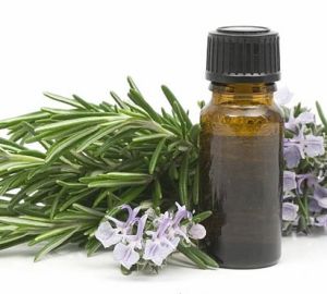 Properties and use of rosemary oil. Rosemary oil for hair, face, body. Masks with rosemary oil
