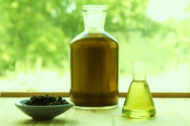 Етерично масло от чаено дърво за коса - полза, вреда, ревюта. Прилагане на масло от чаено дърво