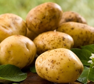 Fördelarna och skadan på potatisjuice. Hur man gör potatisjuice. Behandling av gastrit, magsår, Misa, Cholecystit, Pancreatit Potatisjuice