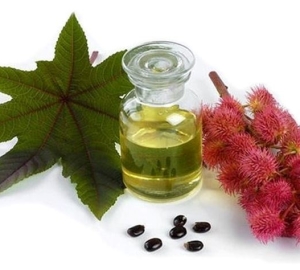 Castor oil for weight loss