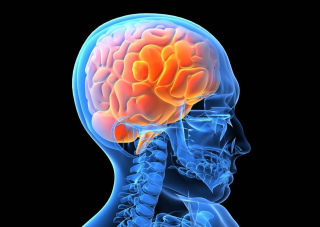 Tecken, symtom och graden av hjärnskakning av hjärnan hos vuxna och barn. Vad ska man göra när du tar med sig av hjärnan. Behandling av hjärnhuskakning på sjukhuset och hemma. Konsekvenser av hjärnskakning av hjärnan
