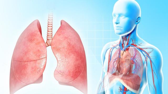 Τι είναι η πλευρίνη των πνευμόνων, των συμπτωμάτων και των αιτιών της νόσου. Διαγνωστικά του pleurite των πνευμόνων. Πώς να θεραπεύσετε τον Πλέρουν τους πνεύμονες από φάρμακα και λαϊκές θεραπείες