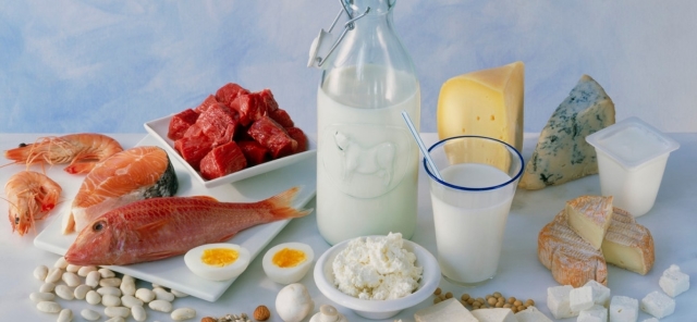 Slimming Protein Diet