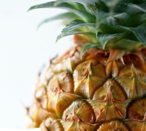 Ako pestovať ananás doma