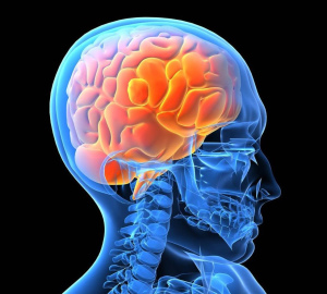 สัญญาณอาการและระดับการถูกกระทบกระแทกของสมองในผู้ใหญ่และเด็ก จะทำอย่างไรเมื่อถูกกระทบกระแทกสมอง การรักษาอาการสั่นสะเทือนของสมองในโรงพยาบาลและที่บ้าน ผลของการถูกกระทบกระแทกของสมอง