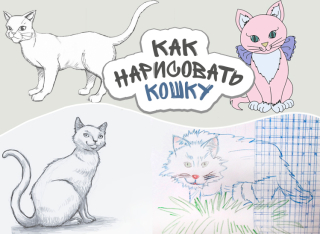 วิธีการวาดแมวสำหรับผู้เริ่มต้น วิธีการวาดแมวในดินสอที่ค่อย ๆ วิธีการวาดแมวอะนิเมะด้วยมือของคุณเอง วิธีการวาดแมวในเซลล์ - ชั้นปริญญาโทสำหรับเด็ก