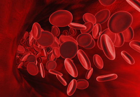 How to increase hemoglobin at home