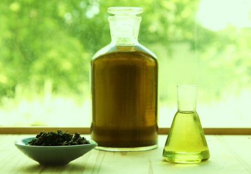 Essentiell olja av te träd för hår - fördel, skada, recensioner. Applicering av tea trädolja