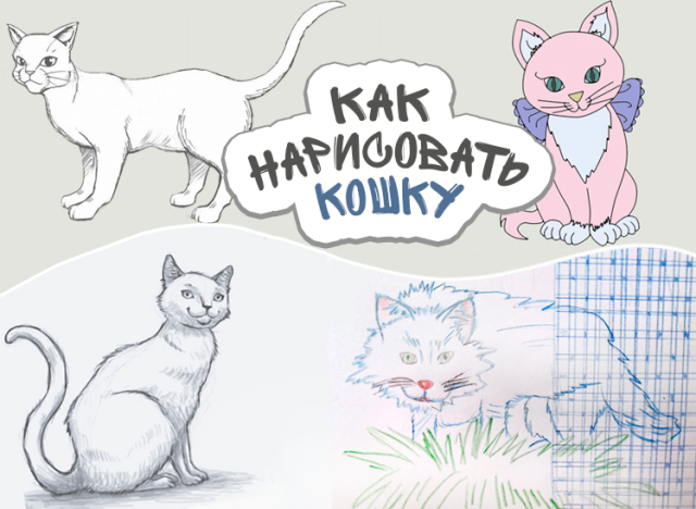 Как да нарисувате котка за начинаещи. Как да нарисувате котка в фазов молив. Как да нарисувате аниме котка със собствените си ръце. Как да се направи котка в клетка - майсторски клас за деца