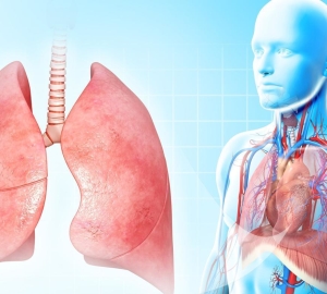 What is pleurisy of the lungs, symptoms and causes of the disease. Diagnostics of pleurite of the lungs. How to treat pleurisy of lungs by medicines and folk remedies